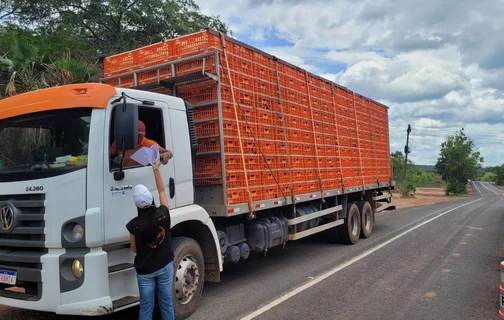 Fiscalização realizada pela Adapi