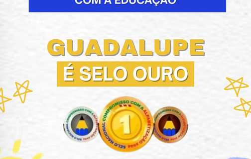 Guadalupe conquista Selo Ouro em alfabetização e prefeita Neidinha celebra resultado