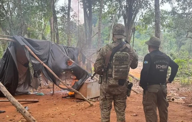 ICMbio e PF trabalhano juntos na Operação Guarda-chuva VI.