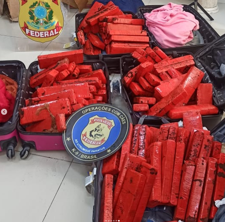 Maconha apreendida pela Polícia Federal em aeroporto