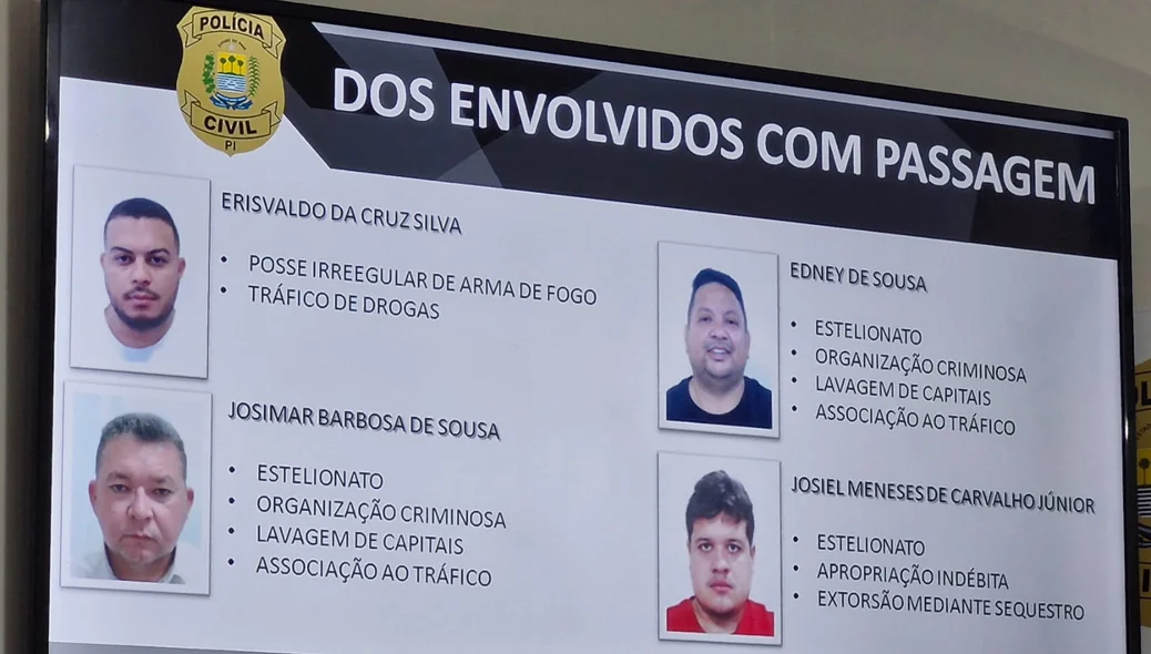 Organização criminosa