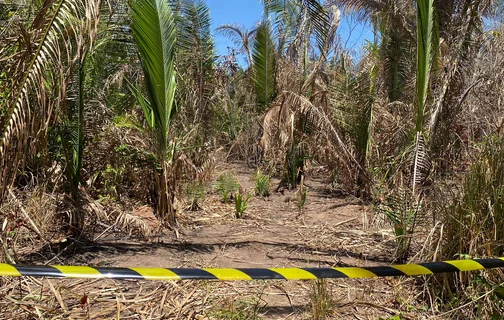 Os corpos foram encontrados na Santa Maria da Codipi, zona Norte de Teresina