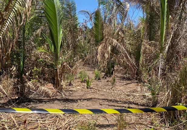 Os corpos foram encontrados na Santa Maria da Codipi, zona Norte de Teresina