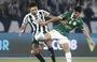 Palmeiras e Botafogo se enfrentam nesta terça-feira