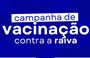 Prefeitura de Uruçuí vai promover campanha de vacinação contra raiva