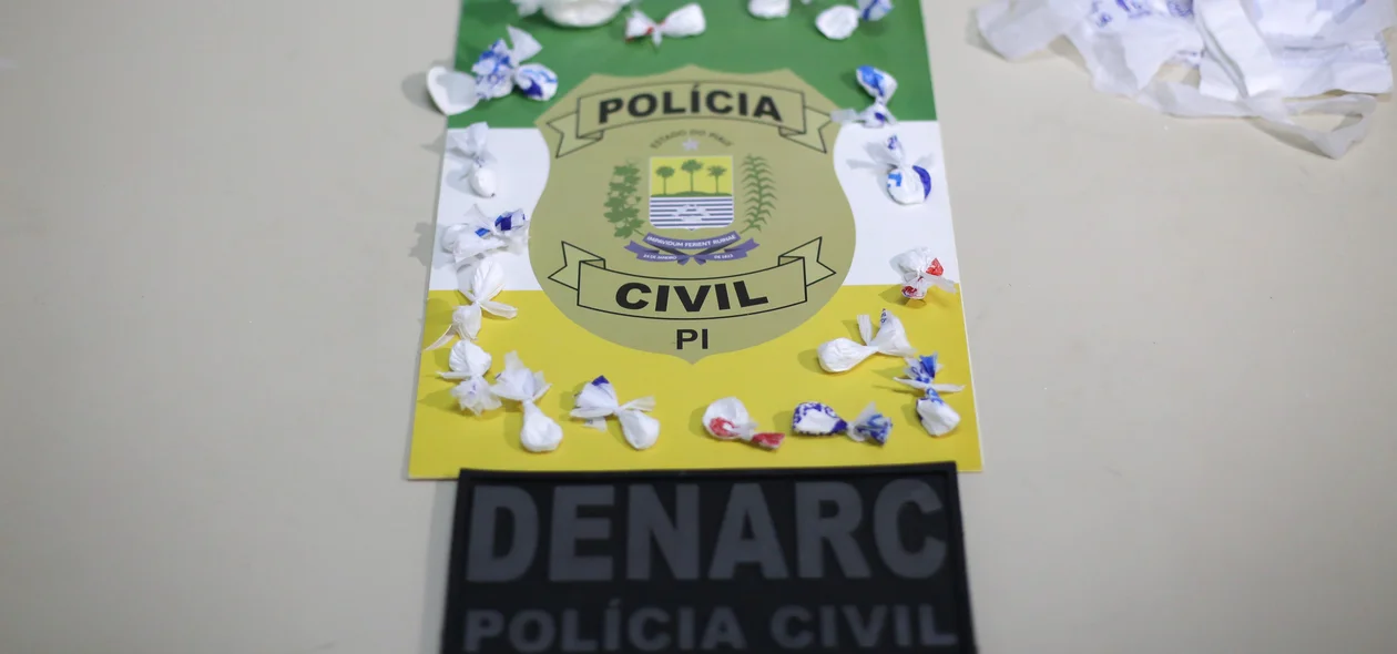 Cocaína apreendida na operação 66 do DENARC