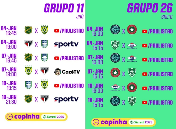 Confira a trajetória das equipes piauienses na Copinha 2025