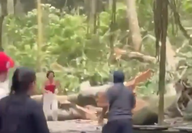 Santuário Floresta dos Macacos em Ubud