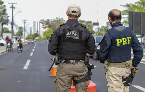 Trabalho integrado na Operação Rodovida