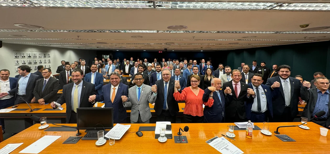 Bancada Federal do Piauí se reúne com prefeitos em Brasília