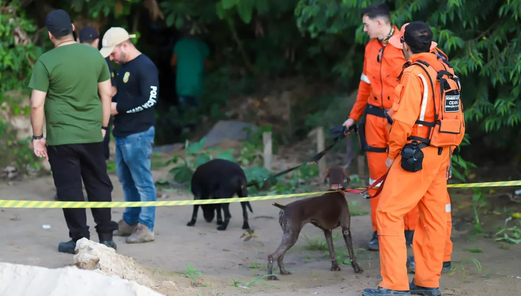 Cachorros dos Bombeiros do Ceará auxiliaram nas buscas