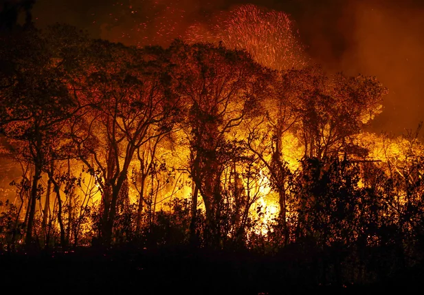 Incêndio no Pantanal