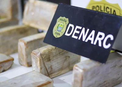 DENARC apreendeu 24 quilos de pasta base de cocaína
