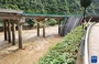 Queda de ponte na China mata 11 pessoas e deixa 30 desaparecidas