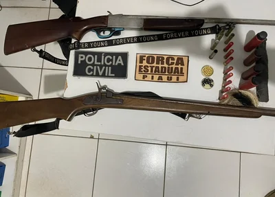 Armas de fogo apreendidas pela Polícia Civil