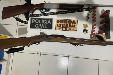 Armas de fogo apreendidas pela Polícia Civil