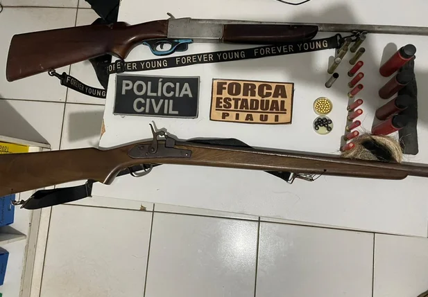 Armas de fogo apreendidas pela Polícia Civil