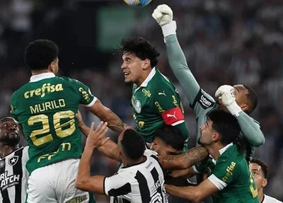 Botafogo e Palmeiras se enfrentam nesta quarta-feira