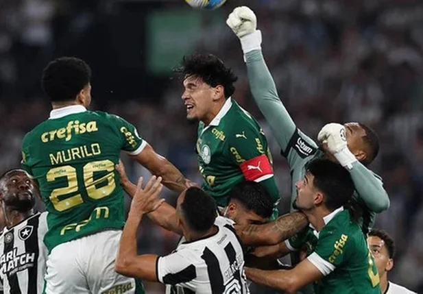 Botafogo e Palmeiras se enfrentam nesta quarta-feira