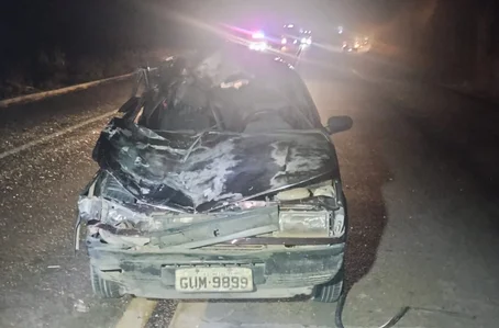 Carro ficou destruído após colidir contra animal