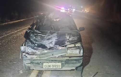 Carro ficou destruído após colidir contra animal