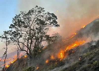 Incêndio florestal em SP