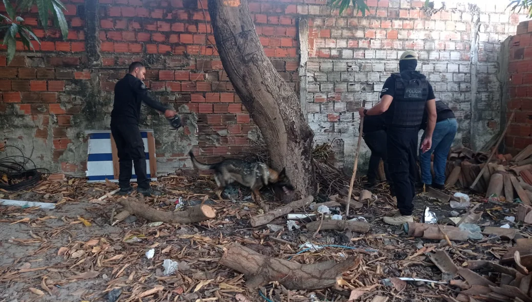 Policiais na operação