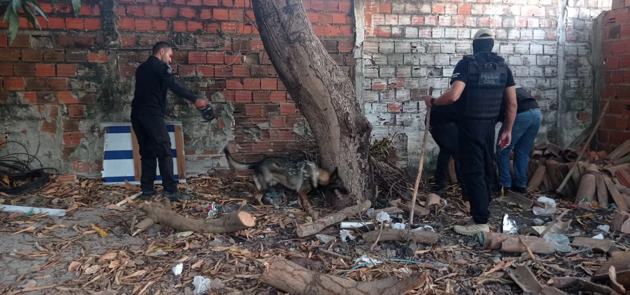 Policiais na operação