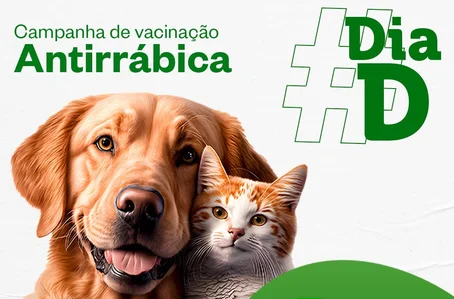 Prefeitura de São João do Arraial inicia campanha de vacinação antirrábica