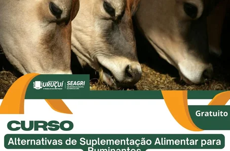 Prefeitura de Uruçuí realiza curso gratuito sobre nutrição animal