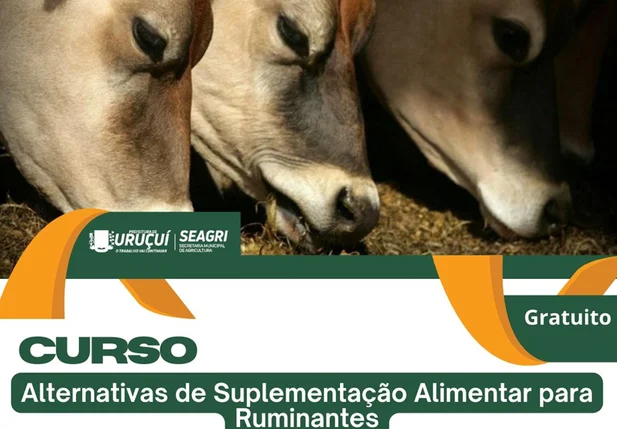 Prefeitura de Uruçuí realiza curso gratuito sobre nutrição animal