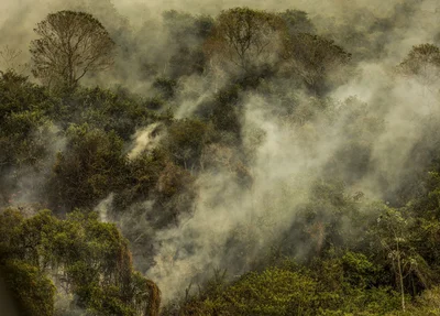 Queimadas na Amazônia