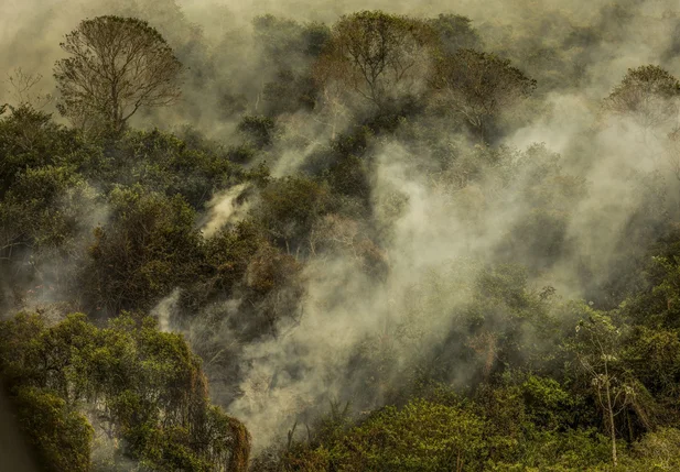 Queimadas na Amazônia