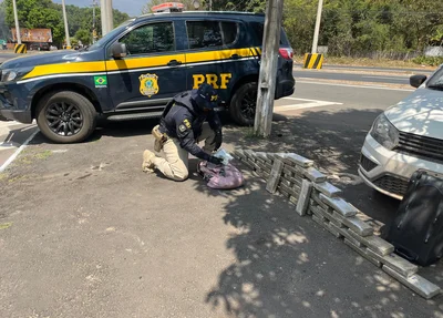 Tabletes de maconha apreendidos pela PRF em Teresina