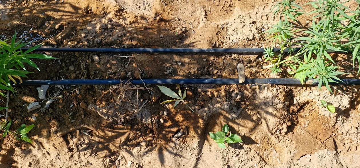 A Polícia Militar do Piauí esteve na ação