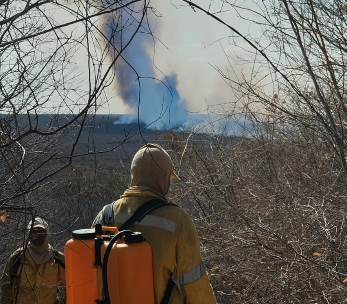 Brigadistas combatem incêndio no Parque Nacional Serra das Confusões