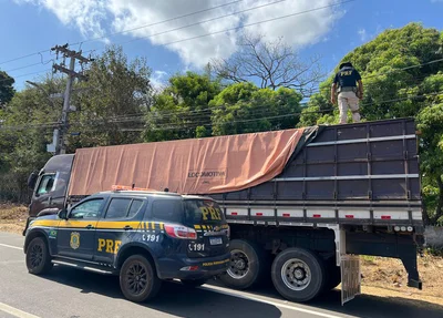 Carga ilegal de madeira apreendida em Teresina