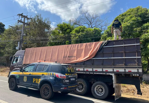 Carga ilegal de madeira apreendida em Teresina