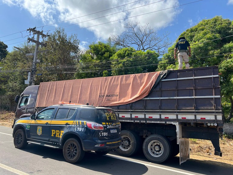 Carga ilegal de madeira apreendida em Teresina