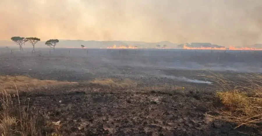 Chapada dos Veadeiros