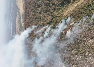 Defesa Civil de SP apontou 5 municípios com incêndios ativos