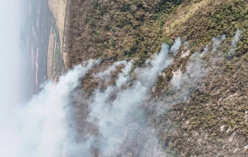 Defesa Civil de SP apontou 5 municípios com incêndios ativos