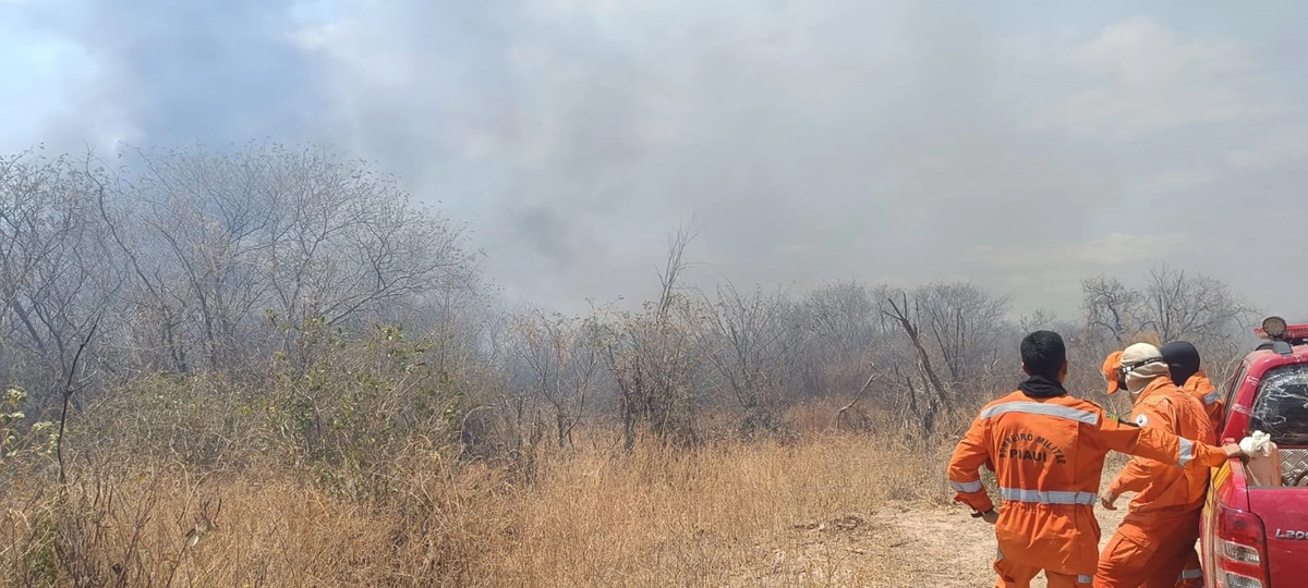 Equipes tiveram dificuldades de debelar o fogo por conta das rajadas de vento