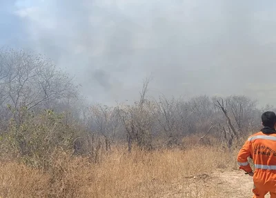 Equipes tiveram dificuldades de debelar o fogo por conta das rajadas de vento