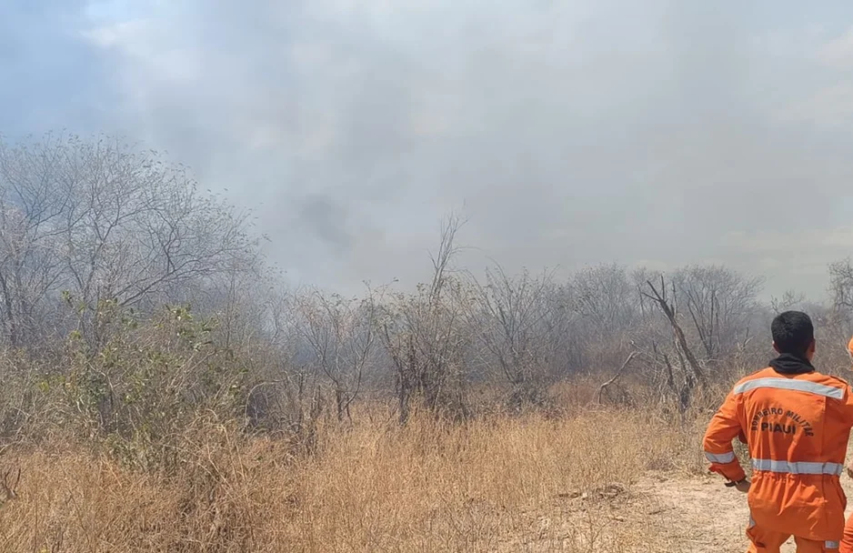 Equipes tiveram dificuldades de debelar o fogo por conta das rajadas de vento