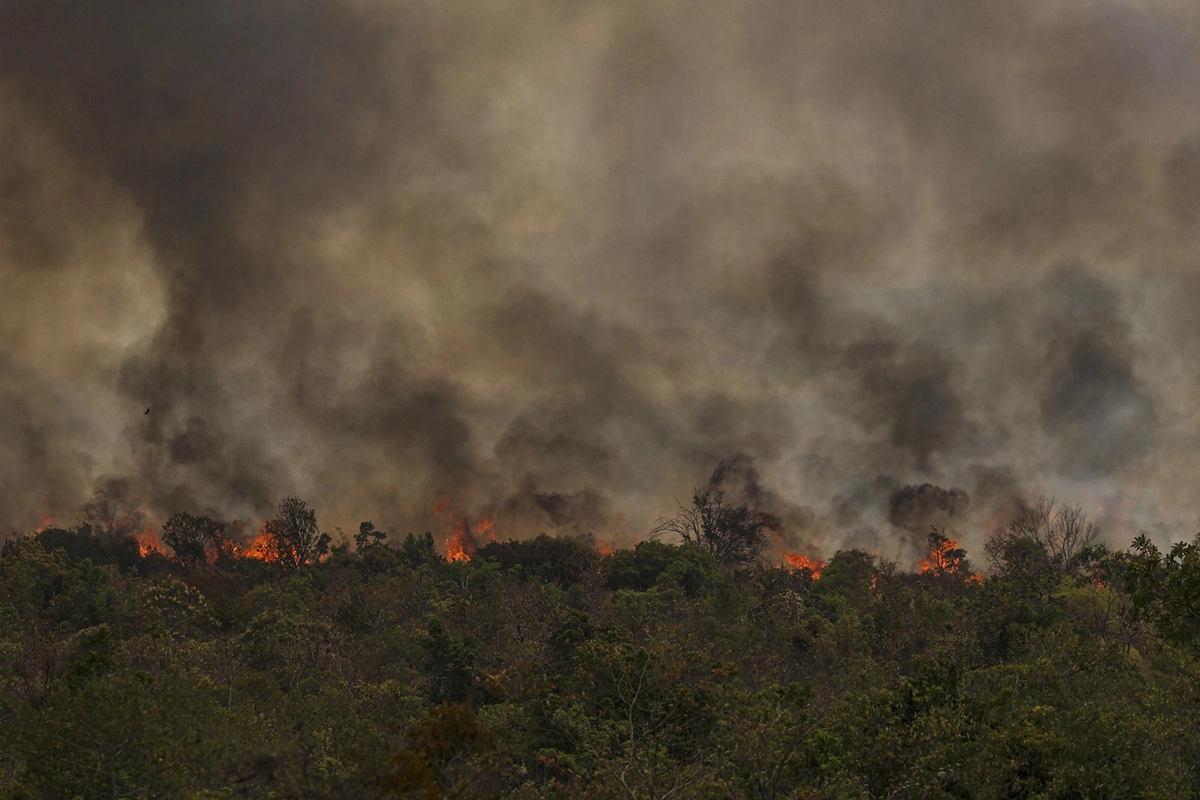 Focos de incêndio no Parque Nacional de Brasília