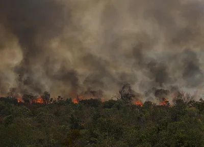 Focos de incêndio no Parque Nacional de Brasília