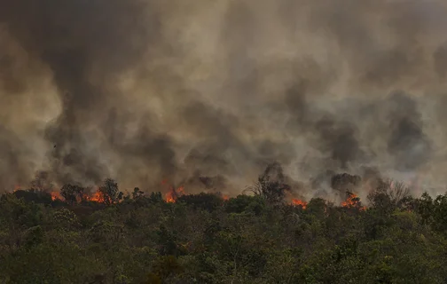 Focos de incêndio no Parque Nacional de Brasília