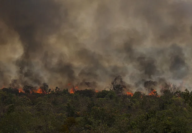 Focos de incêndio no Parque Nacional de Brasília