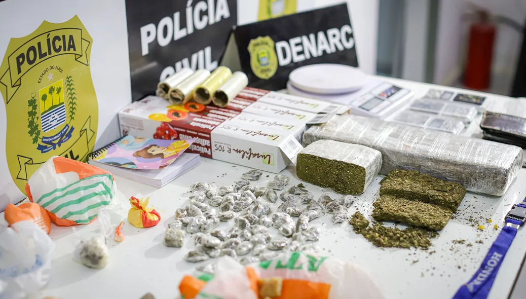 Operação da Polícia Civil apreende drogas no Portal da Esperança